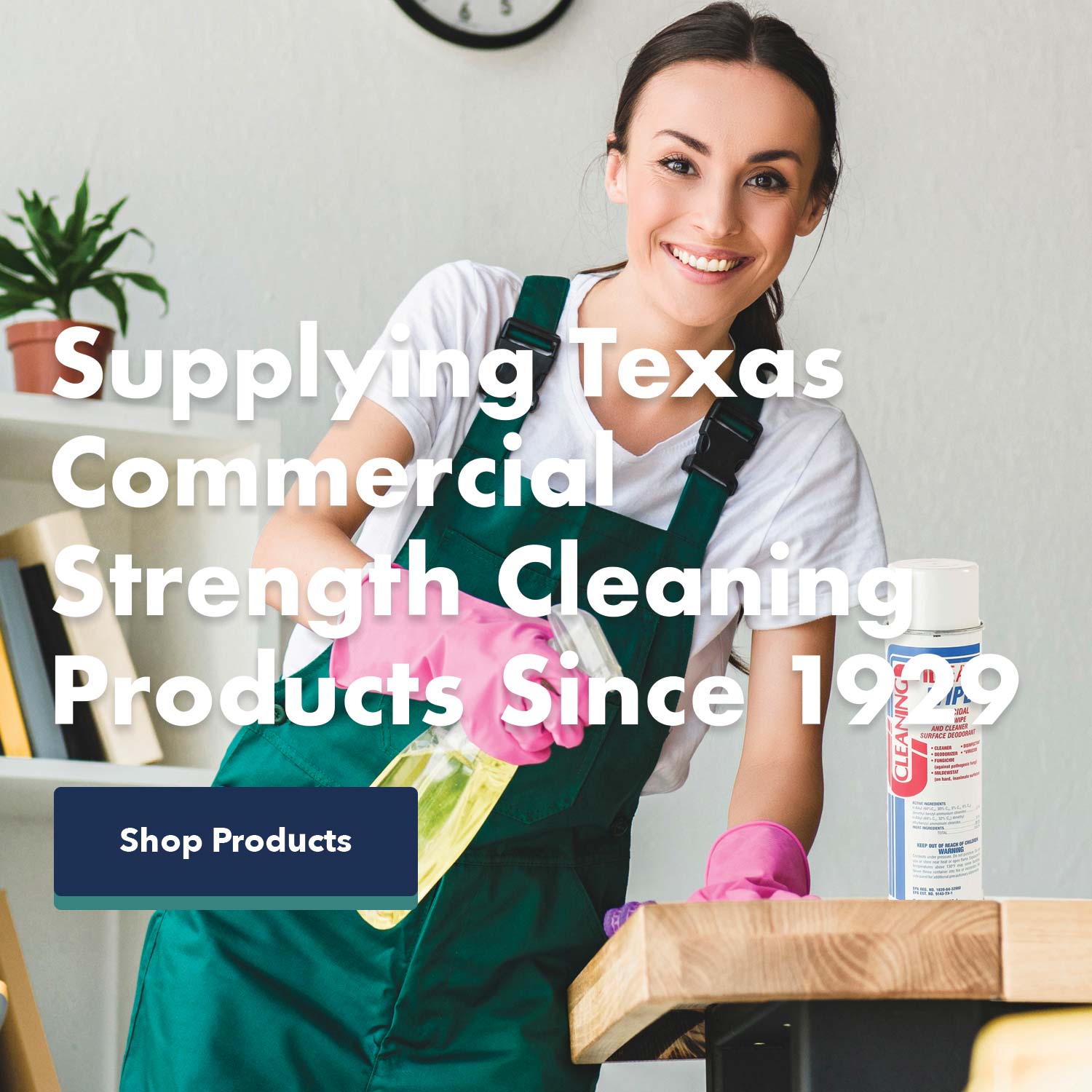 Cleaning Ideas Corporation Commercial Strength Cleaning Products