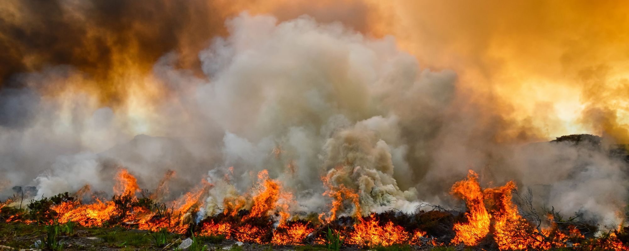 Bulk disaster relief supplies for wildfire response – emergency equipment for local, state, and federal agencies