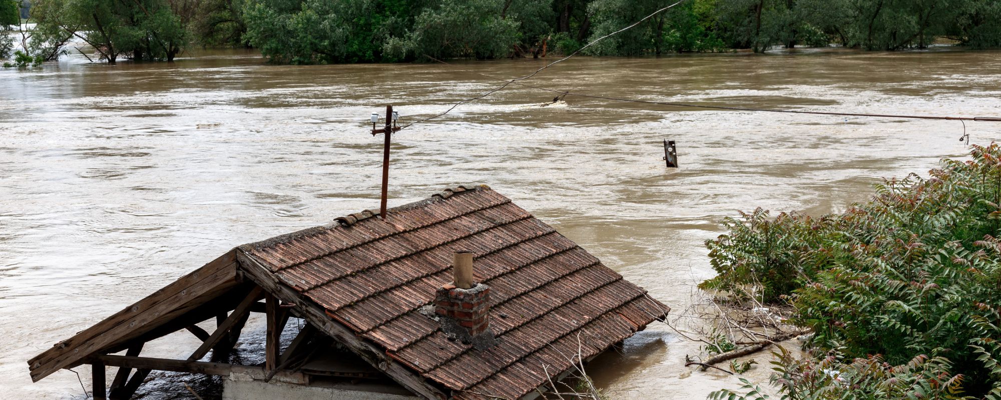 Bulk flood and storm disaster relief supplies – emergency shelter and cleanup for local, state, and federal agencies